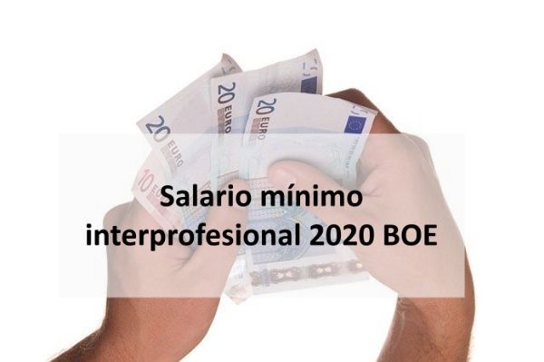 salario minimo interprofesional 2020